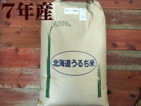 入荷待ち