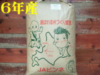 入荷待ち