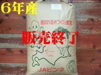 入荷待ち