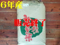 ２９年産