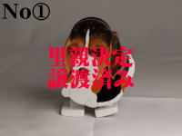 イメージ01