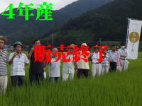 4年産